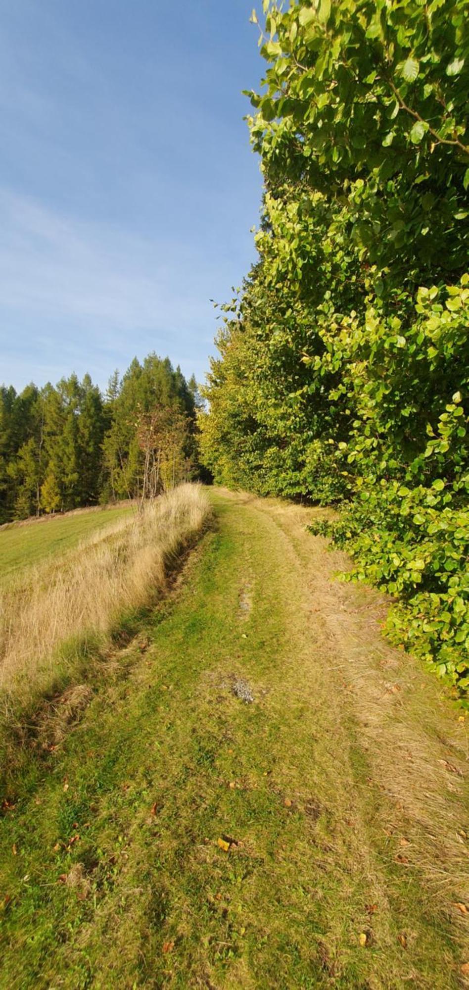 Die Alte Baeckerei Jöhstadt Kültér fotó